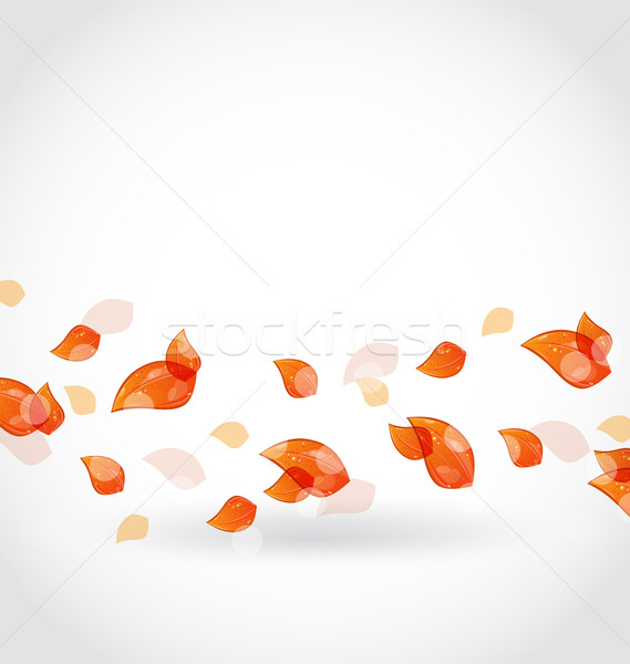 Autumn leaves fall, beautiful nature background Stock photo © smeagorl
