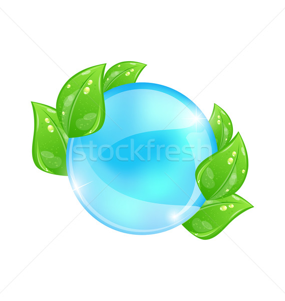 Water bubble with eco green leaves Stock photo © smeagorl