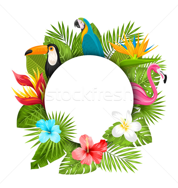 Summer Clean Card With Tropical Plants Stock photo © smeagorl