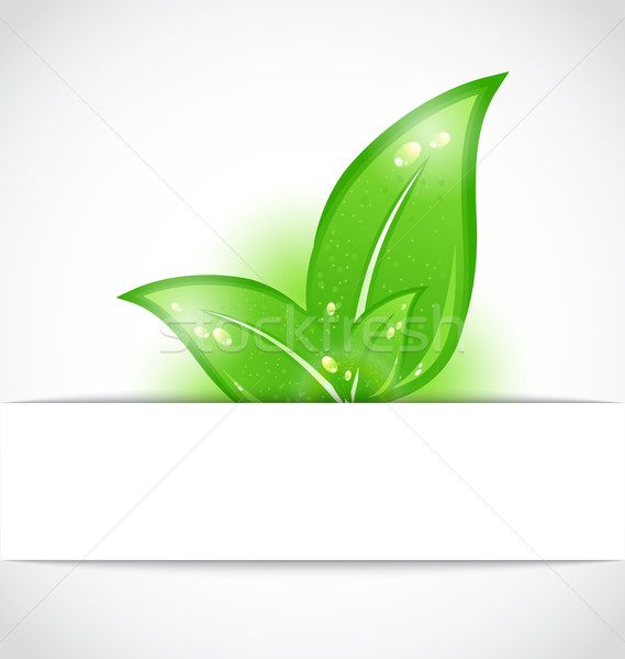 ストックフォト: 緑の葉 · 外に · カット · 紙 · 実例 · 抽象的な