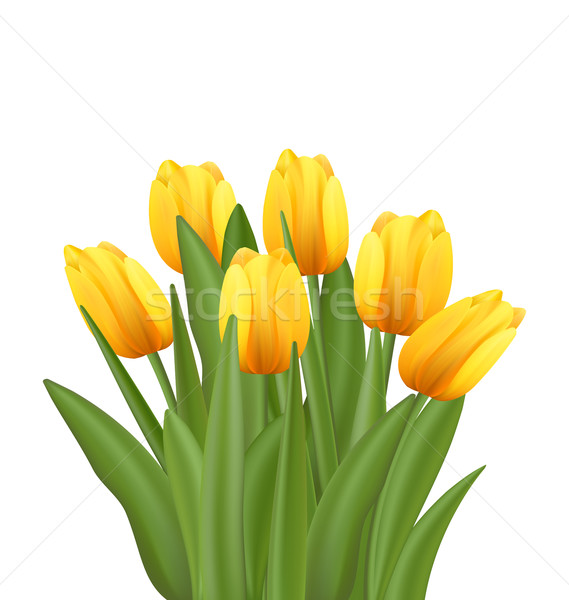 Beautiful Bouquet with Yellow Tulips Flowers  Stock photo © smeagorl