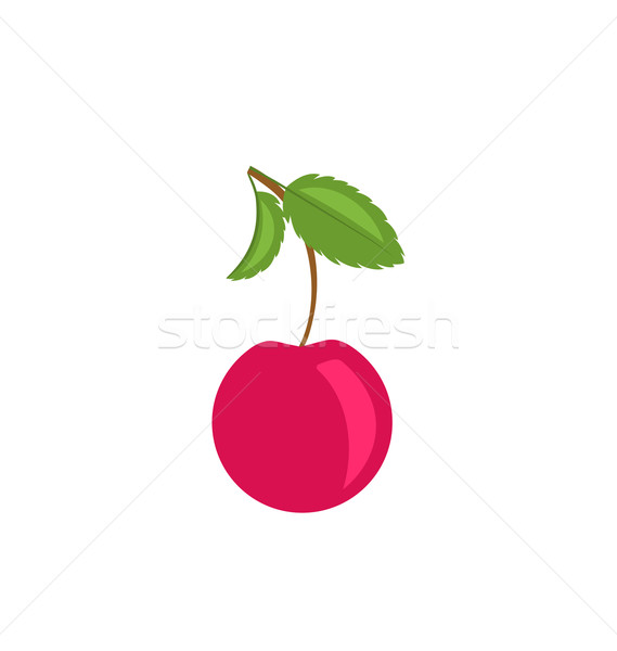 Single Cherry with Green Leaves Isolated Stock photo © smeagorl