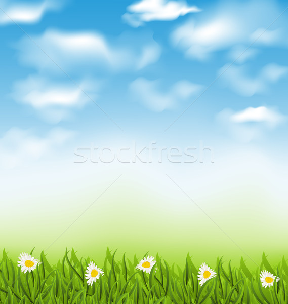 Foto stock: Primavera · naturalismo · blue · sky · nuvens · campo · de · grama · ilustração