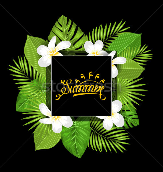 Summer Card with Frangipani Flowers and Green Tropical Leaves Stock photo © smeagorl