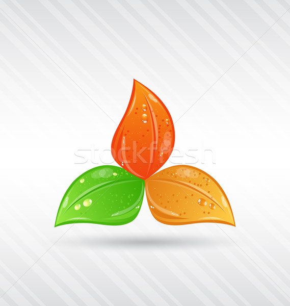 Autumn seasonal nature background with changing leaves Stock photo © smeagorl