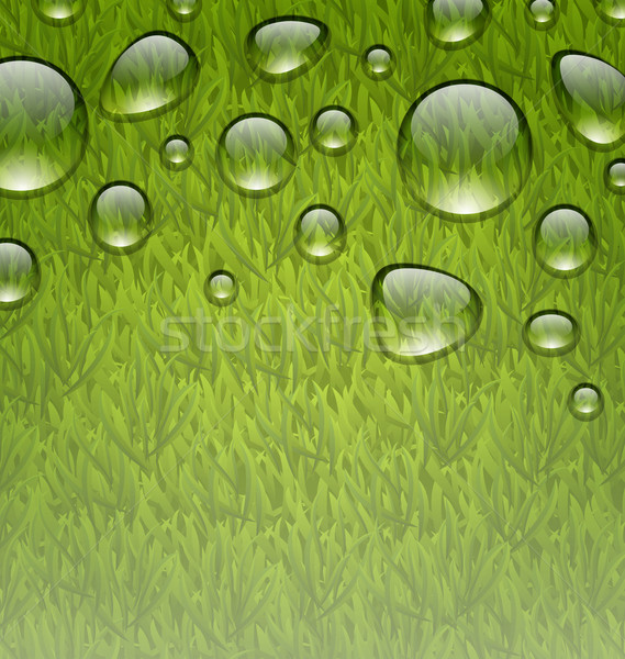 Respectueux de l'environnement gouttes d'eau fraîches herbe verte illustration texture [[stock_photo]] © smeagorl