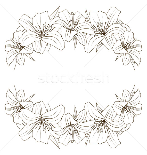 Floral schönen Lilien Illustration Blumen Hand gezeichnet Stock foto © smeagorl
