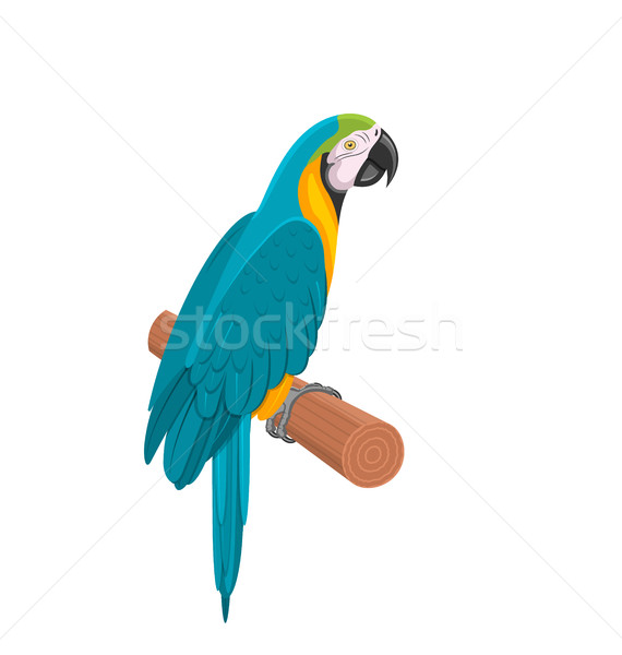 Pretty Blue Parrot Ara on Branch. Bird Isolated on White Background Stock photo © smeagorl