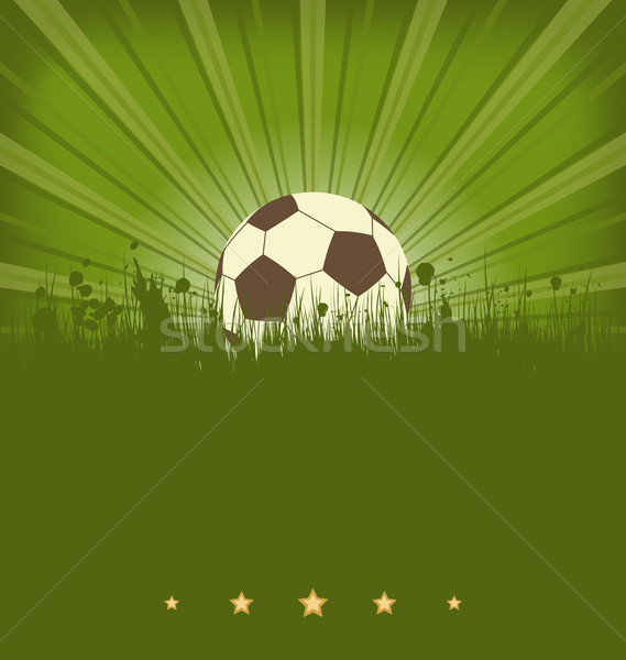 Vintage fútbol tarjeta pelota hierba ilustración Foto stock © smeagorl