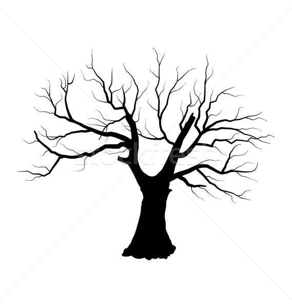 Foto d'archivio: Sketch · albero · morto · foglie · isolato · bianco · illustrazione