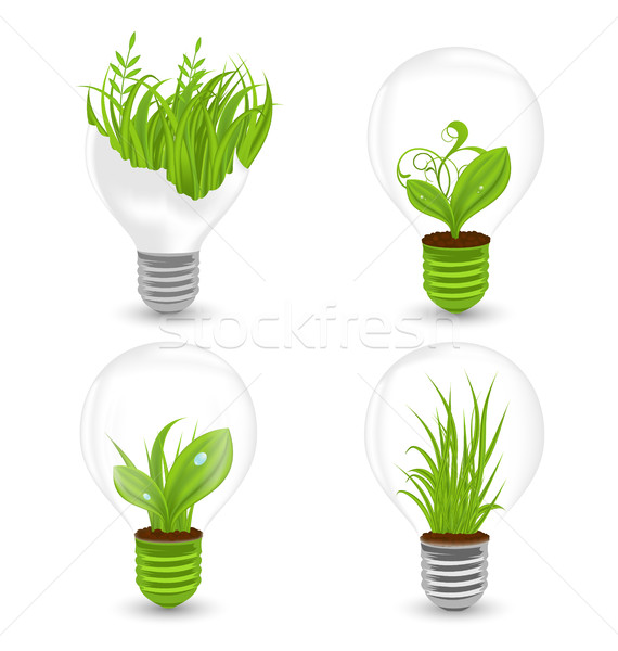 Set of Light Bulbs with Plant and Leaves Growing Stock photo © smeagorl