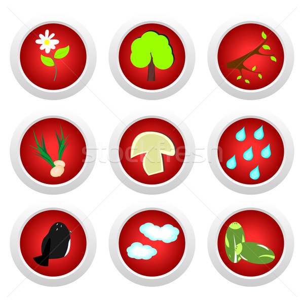 Button set red of ecology Stock photo © smeagorl