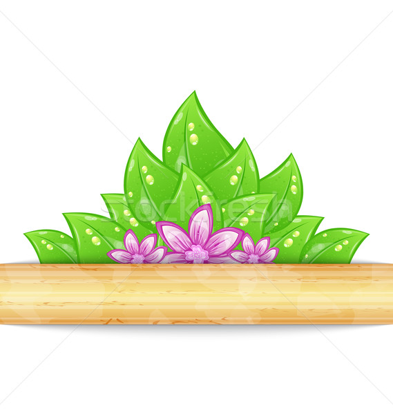 Eco friendly background with green leaves, flower, wooden textur Stock photo © smeagorl