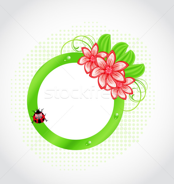 Cute spring label with flower, leaves, lady-beetle Stock photo © smeagorl