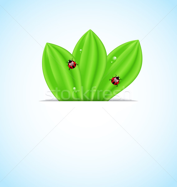 Green leaves ecology fresh background  Stock photo © smeagorl