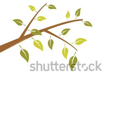 Résumé branche arbre isolé blanche vecteur [[stock_photo]] © smeagorl