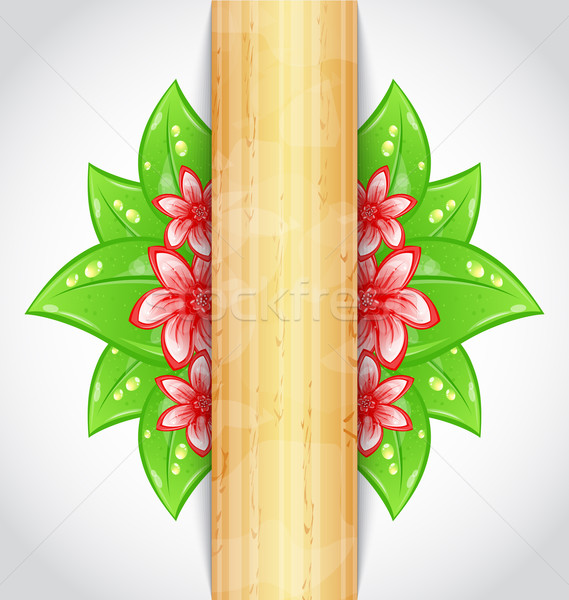 Eco friendly background with green leaves, flower, wooden textur Stock photo © smeagorl