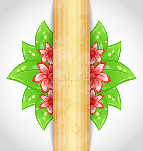 Stock photo: Eco friendly background with green leaves, flower, wooden textur