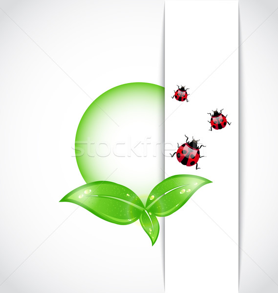 ecological background with bubble, green leaves, ladybugs Stock photo © smeagorl