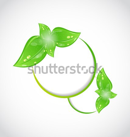 Respectueux de l'environnement bannière feuilles vertes illustration nature design [[stock_photo]] © smeagorl