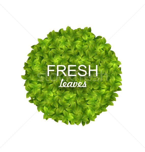Milieuvriendelijk cirkel frame groene bladeren illustratie geïsoleerd Stockfoto © smeagorl