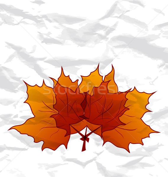 Autumnal maple leaves, crumpled paper texture Stock photo © smeagorl
