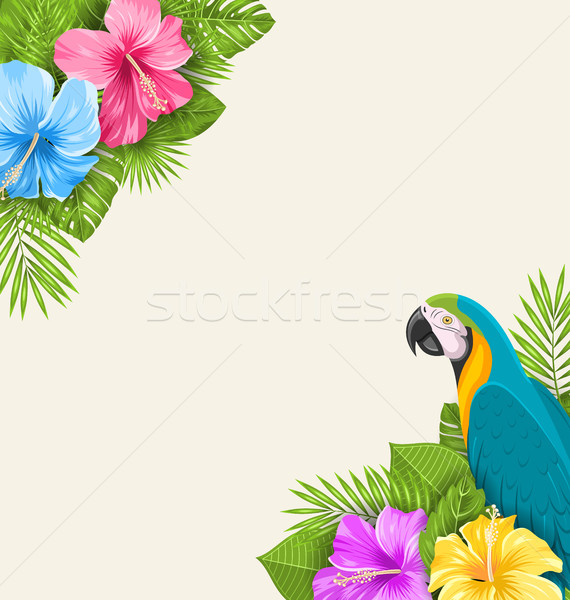 Summer Exotic Background with Parrot Ara, Hibiscus Flowers Stock photo © smeagorl