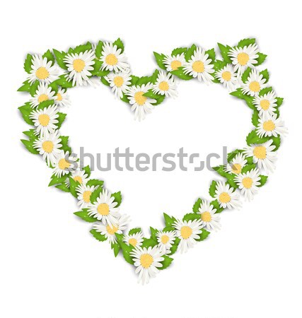 Stockfoto: Kamille · bloemen · vorm · hart · geïsoleerd · witte