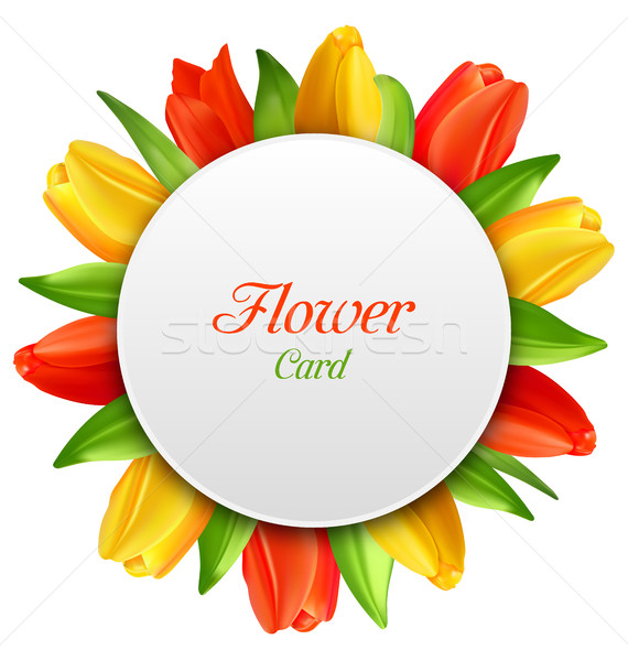 Frühling Einladung Tulpen Blumen Postkarte Stock foto © smeagorl