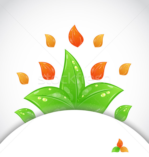 Autumn seasonal nature background with changing leaves Stock photo © smeagorl
