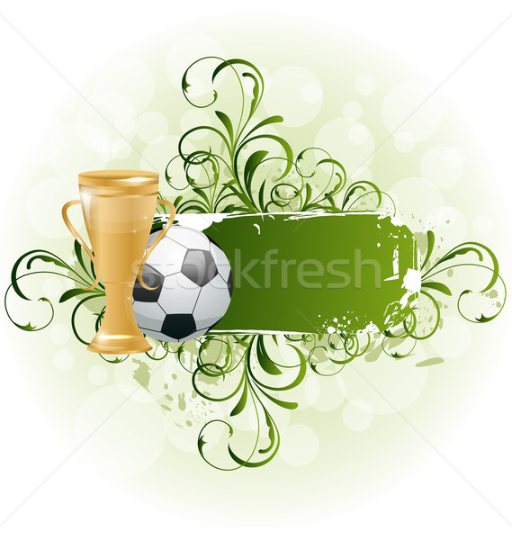 Grunge floral fútbol tarjeta pelota premio Foto stock © smeagorl