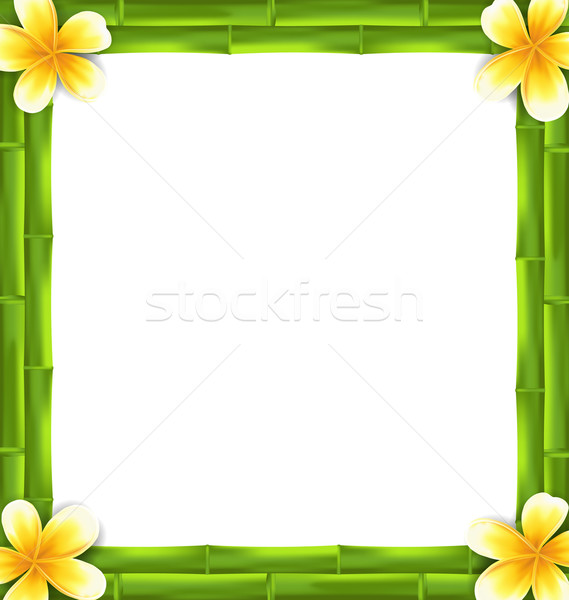 Natural Frame Made Bamboo and Frangipani Flowers, Copy Space for Your Text Stock photo © smeagorl