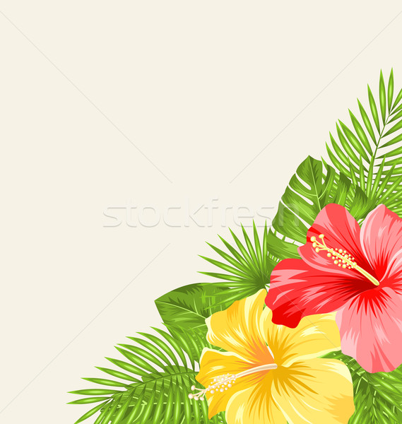 Epocă colorat Hibiscus flori ilustrare spatiu copie Imagine de stoc © smeagorl