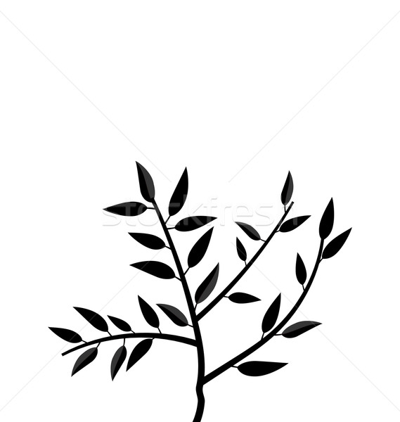 Negro silueta rama árbol ilustración marco Foto stock © smeagorl