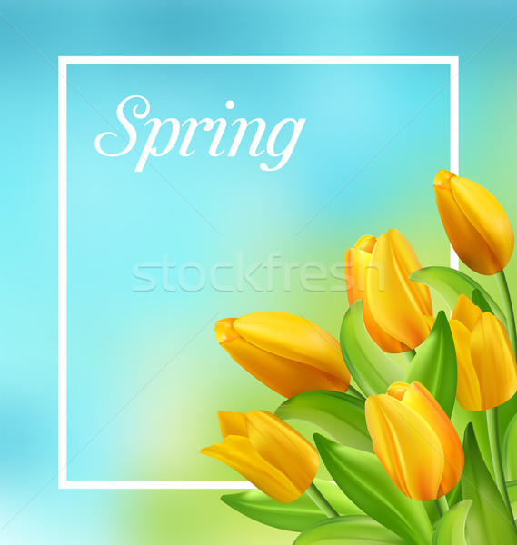 Spring Natural Frame with Yellow Tulips Flowers Stock photo © smeagorl