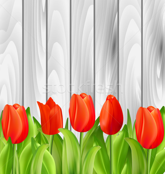 Beautiful Tulips Flowers on Wooden Background Stock photo © smeagorl