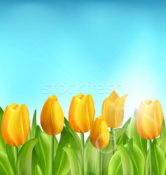 Stock fotó: Természet · virágmintás · tulipánok · virágok · kék · ég · illusztráció