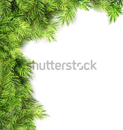 Natural Framework with Fir Twigs Stock photo © smeagorl