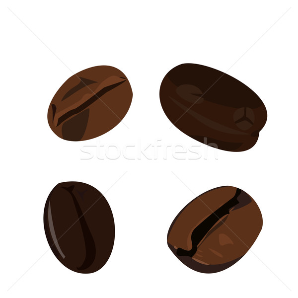 Realistic illustration coffee bean Stock photo © smeagorl