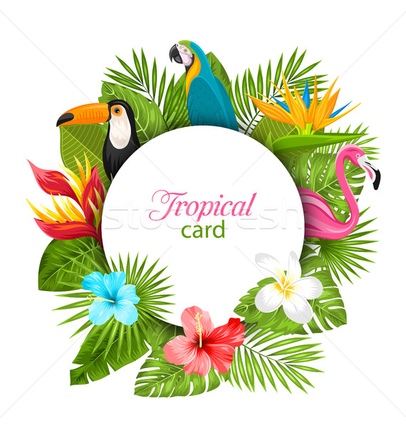 Summer Card With Tropical Plants, Hibiscus, Plumeria, Flamingo, Parrot, Toucan Stock photo © smeagorl