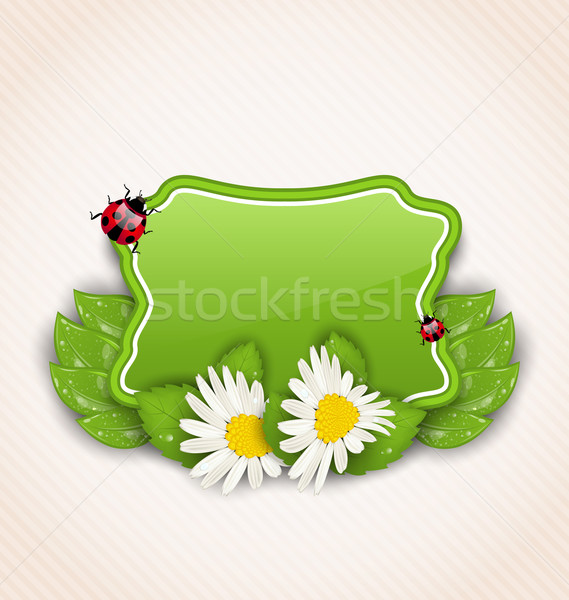 Cute spring card with flower daisies, leaves, ladybugs Stock photo © smeagorl