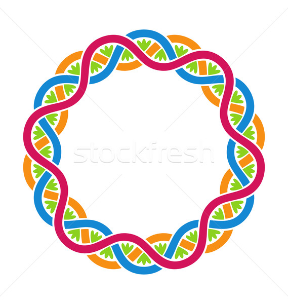 Abstract Celtic Weaving, Round Framework Stock photo © smeagorl