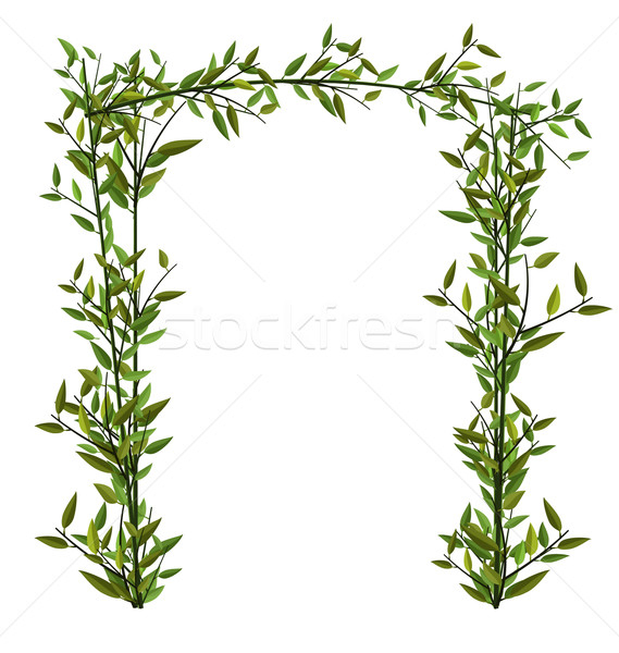 Arch Twined Bamboo Branch Green Leafs Stock photo © smeagorl