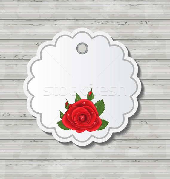 Cartão rosa vermelha valentine dia textura Foto stock © smeagorl