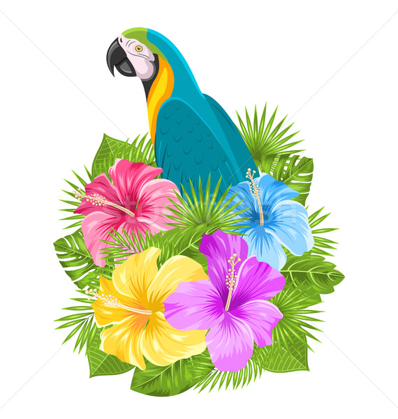 Parrot Ara, Colorful Hibiscus Flowers Blossom and Tropical Leaves Stock photo © smeagorl