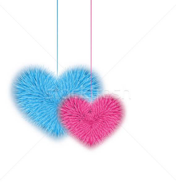 Fur pink and blue hearts for Valentines Day isolated on white ba Stock photo © smeagorl