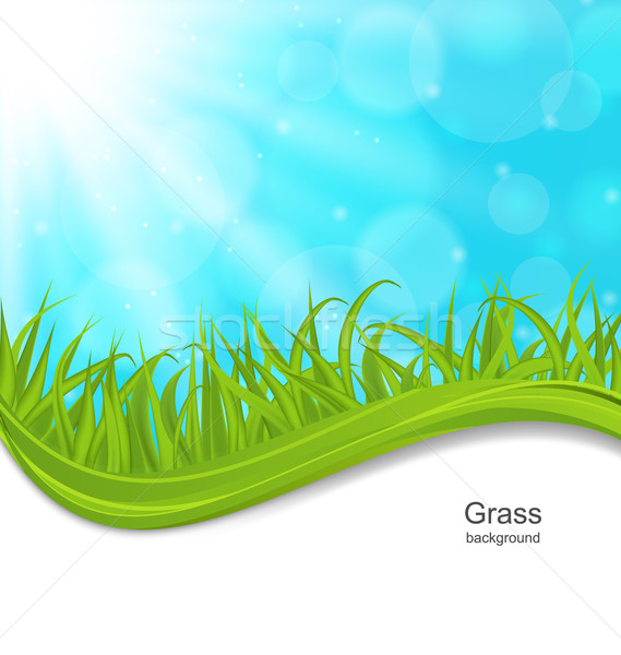 Stockfoto: Zomer · natuurlijke · briefkaart · groen · gras · illustratie · hemel