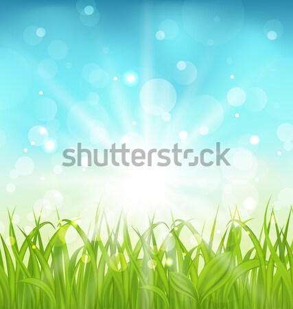 Printemps nature herbe illustration ciel paysage [[stock_photo]] © smeagorl