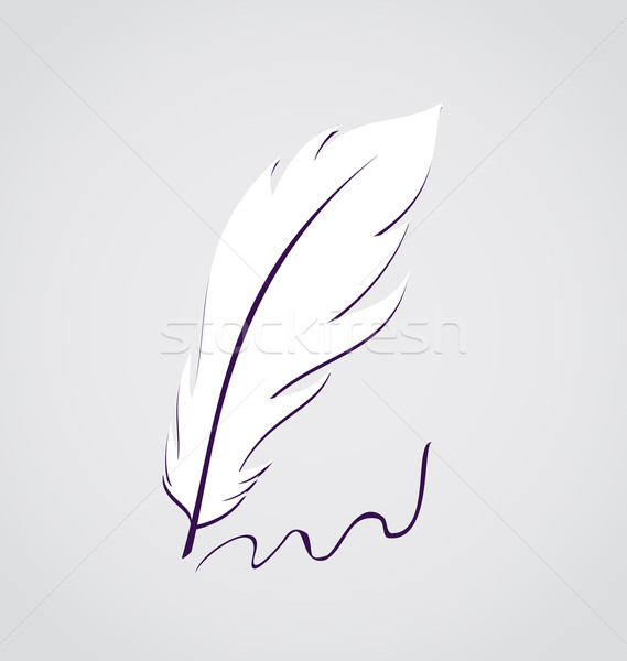 Blanche plumes stylo isolé illustration [[stock_photo]] © smeagorl