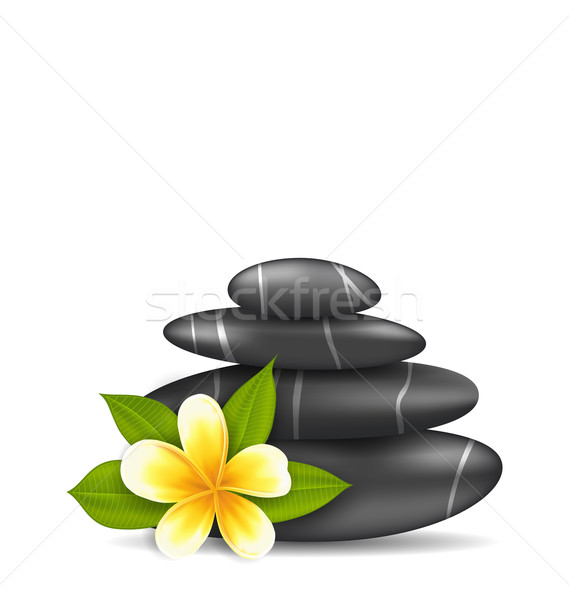  Frangipani Flower (plumeria) and Pyramid Zen Spa Stones, Isolat Stock photo © smeagorl